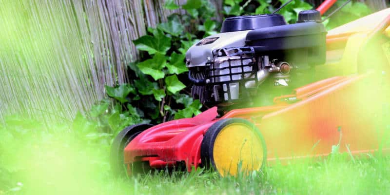 How Long to Wait to Mow After Lawn Treatment