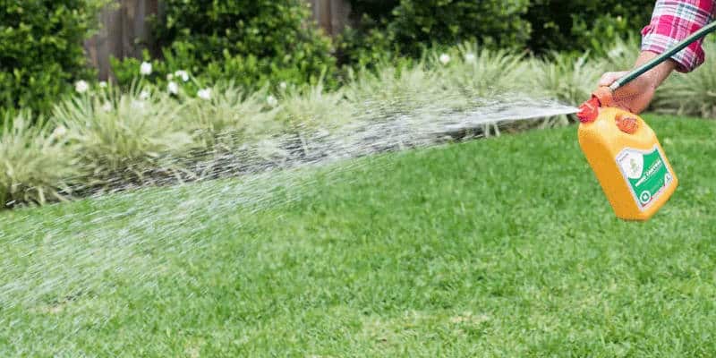 Liquid Lawn Fertiliser